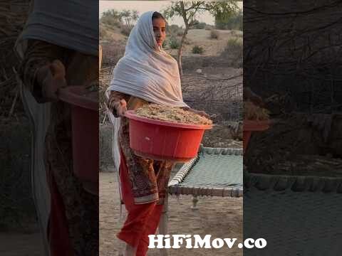 View Full Screen: morning routine work village girls cute desert sweet villagelife viral baby.jpg