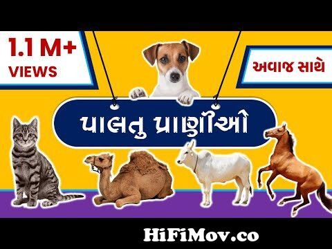 જંગલી પ્રાણીઓના નામ | Jangli Pranio | KooBoo | Gujarati Kids Learning |  Wild Animal Name In Gujarati from gujarati janvar name Watch Video -  