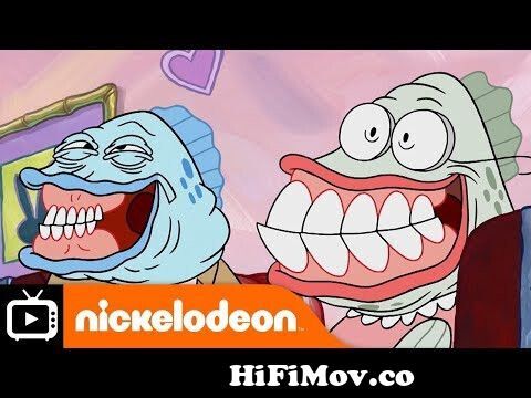 Interconectar Antecedente sacerdote SpongeBob SquarePants | Bunny Buns | Nickelodeon UK from old man www  patrick com Watch Video - HiFiMov.co