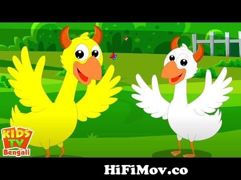 Hatti Matim Tim - হাট্টি মাটি্ম টিম || Bangla Animated Rhyme from  হাট্টিমাটিম টিম ছড়া Watch Video 