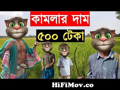 ইরি ধান কাটার ঠ্যালা|| Talking Tom Bangla Funny || Talking Tom Bangla Comedy  || কালা মফিজ || from ইরি Watch Video 