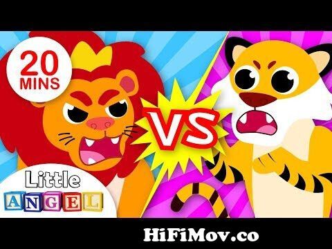 Lions vs. Tigers | Baby Animal Songs for Children | Kids Songs and Nursery  Rhymes by Little Angel from lion vs tiger cartoon Watch Video 