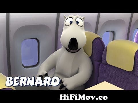 Bernard Bear | Backkom with Penguin at Hammam and More | Cartoons for Kids  Children Funny from bernead dear lq Watch Video 