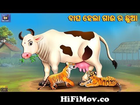 Bagha hela gai ra chhua | Odia Stories | Odia Story | Odia Moral Story |  Odia Gapa | Odia Cartoon from oriya ro Watch Video 