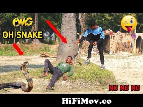 Snake prank video 😅 so funny prank king Cobra snake prank || fake snake  prank 2023 from prank cobra hdndin videuo coma bd com Watch Video -  