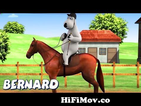Bernard Bear | Horse Racing! AND MORE | Cartoons for Children | Full  Episodes from bernead dear lq Watch Video 