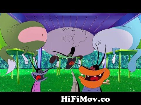 Oggy and the Cockroaches 🍖 THE FEAST (S04E58) CARTOON | New Episodes in HD  from oggy and cocroches tamil episode on mp3 Watch Video 