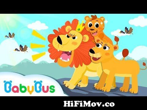 King of Forest: Big Lion | Baby Panda Goes to Forest | Kids Songs  collection | BabyBus from 3gp full cartoon the lion king part 1 simba in  urdu Watch Video 