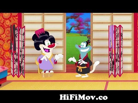 Oggy and the Cockroaches 🐱🥳 NEW OGGY & OLIVIA 🐱🥳 Full Episode HD from  oggy and the cokroch cartoon hindi episode Watch Video 