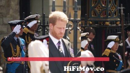 Prince Harry Defends Himself With THIS Radical Statement from hindi arjun  prince of bali cartoon videos gp nokia mp3 video new 2015 dhaka com Watch  Video 