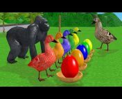 Animals Kids Tv