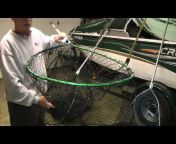 WillCFish Fishing TipsandTricks