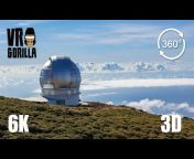 VR Gorilla - Virtual Reality u0026 360 Videos