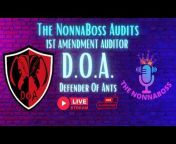 The NonnaBoss Audits and Investigations