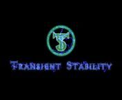 TransientStabilityX