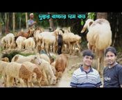 krishi Bangla Natore