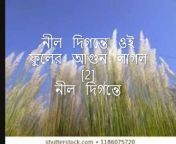 Rabindra Sangeet lyrics