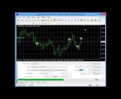 MT4talk Forex Forecasts and Analytics