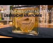 Anatomie Innsbruck