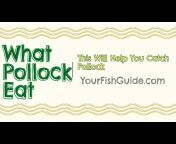Your Fish Guide
