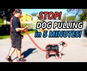 American Standard Dog Training