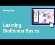 BioRender