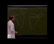 Olivier TROST / Anatomie - Free Anatomy Lessons