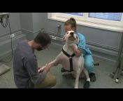 Clinique Vétérinaire Vet 24