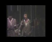Mike Charney - Vintage Polka Videos