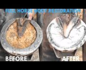 Hoof Restoration