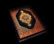 Multi Languages Holy Quran Translation