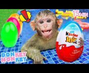 Donkey Monkey - Canciones Infantiles