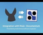 MuleSoft Videos