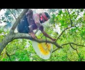 Sundarban Natural Vlog