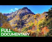 Free Documentary - Nature