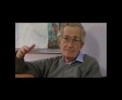Concise Chomsky