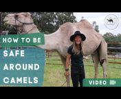 Camel Channel &#124; with Tara Lea