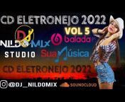 Studio Dj Nildo Mix