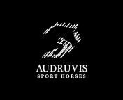 Audruvis Sport Horses