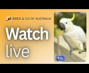 Birds u0026 Co of Australia