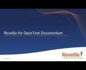 Reveille Software