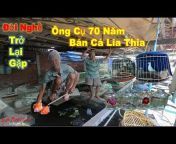Nguyễn Phước Channel