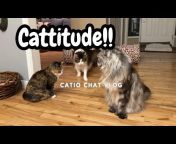 Maine Coon Capers