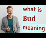 Meaning of the words