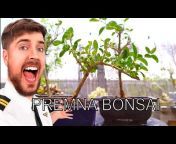 Bonsai-YEAH!