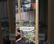Restorative Gardening with Mind u0026 Soil