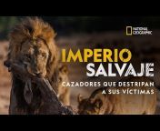 National Geographic Latinoamérica