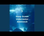 Underwater World - Topic