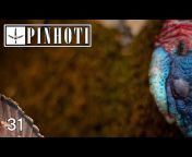 Dave Owens: the Pinhoti Project