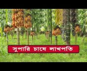 Ko Bangla